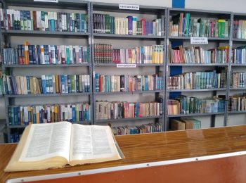 Biblioteca institucional
